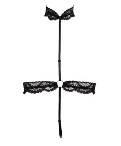 Collier érotique Lise Charmel De La Collection Lingerie De Charme Glamour Couture. -Sous Vêtement Soldes Magasin Collier sexy Lise Charmel Glamour Couture noir AIH0207 NO 1