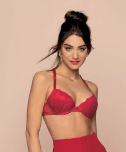 Soutien-gorge Coque Collection Stricto Sensuelle De Chez Antigel Par Lise Charmel.