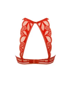 Soutien-gorge Coque Collection Stricto Sensuelle De Chez Antigel Par Lise Charmel. -Sous Vêtement Soldes Magasin ECH8017 SR 6