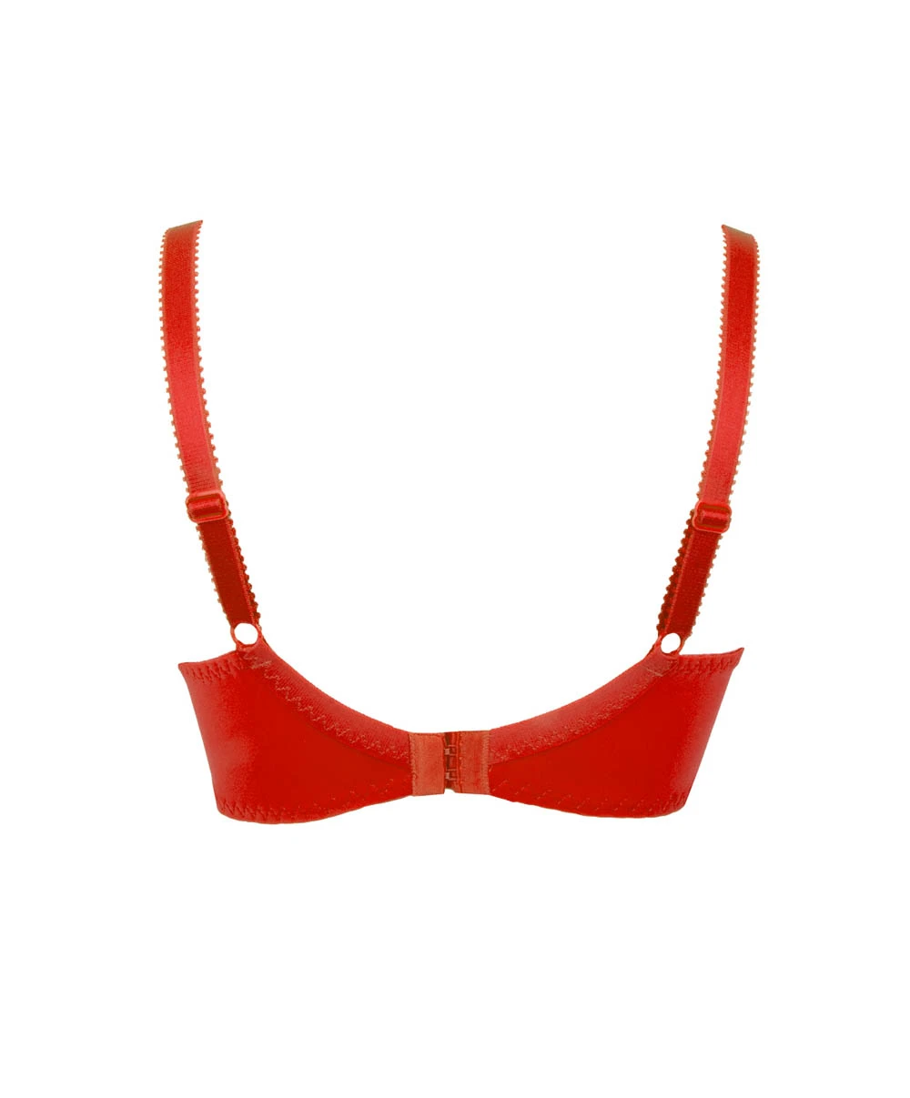 Soutien-gorge Grande Taille Emboitant Collection Stricto Sensuelle De Chez Antigel Par Lise Charmel. 4 Soutien-gorge Grande Taille Emboitant Collection Stricto Sensuelle De Chez Antigel Par Lise Charmel. – Image 2