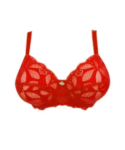 Soutien-gorge Grande Taille Emboitant Collection Stricto Sensuelle De Chez Antigel Par Lise Charmel.