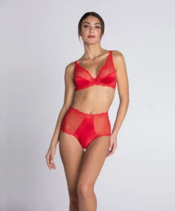 Shorty Taille Haute Sexy En Soie Nude Collection Splendeur Soie, Coloris Rouge. 17 Shorty Taille Haute Sexy En Soie Nude Collection Splendeur Soie, Coloris Rouge. -Sous Vêtement Soldes Magasin Shorty sexy en soie Lise Charmel Splendeur soie rouge rouge ACC1480 RS 504