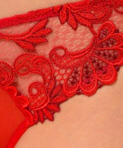Slip Séduction Collection De Lingerie Permanente Dressing Floral De Chez Lise Charmel, Coloris Dressing Solaire (=rouge).  -Sous Vêtement Soldes Magasin Slip Seduction Lise Charmel Dressing Floral dressing solaire rouge ACC0788 DS 504
