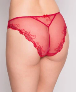 Slip Séduction Collection De Lingerie Permanente Dressing Floral De Chez Lise Charmel, Coloris Dressing Solaire (=rouge).  -Sous Vêtement Soldes Magasin Slip Seduction Lise Charmel Dressing Floral dressing solaire rouge ACC0788 DS 506