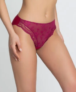 Slip Dos Opaque Ligne Sublime En Dentelle De La Marque De Lingerie Française Lise Charmel, Coloris Fuchsia Sublime. -Sous Vêtement Soldes Magasin Slip fantaisie Lise Charmel Sublime en dentelle fuchsia ACH0213 FS 3