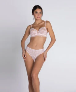 Slip Dos Opaque Ligne Sublime En Dentelle De La Marque De Lingerie Française Lise Charmel, Coloris Rose Sublime. -Sous Vêtement Soldes Magasin Slip fantaisie Lise Charmel Sublime en dentelle rose poudre rose sublime ACH0213 OS 4