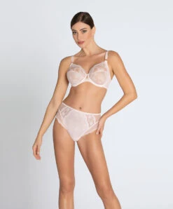Slip Haut Ligne Sublime En Dentelle De La Marque De Lingerie Française Lise Charmel, Coloris Rose Sublime. -Sous Vêtement Soldes Magasin Slip haut Lise Charmel Sublime en dentelle rose poudre rose sublime ACH0313 OS 4