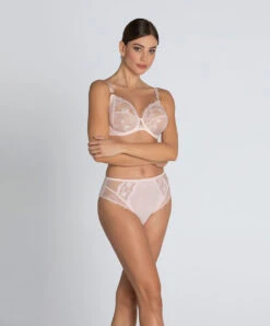 Slip Haut Ligne Sublime En Dentelle De La Marque De Lingerie Française Lise Charmel, Coloris Rose Sublime. -Sous Vêtement Soldes Magasin Slip haut Lise Charmel Sublime en dentelle rose poudre rose sublime ACH0313 OS 6