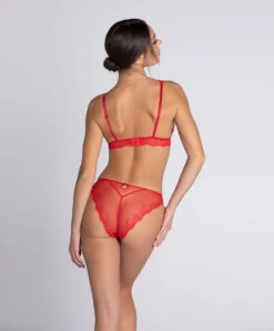 Culotte Italienne En Soie Lise Charmel Collection Splendeur Soie, Coloris Rouge. -Sous Vêtement Soldes Magasin Slip italien en soie Lise Charmel Splendeur soie rouge rouge ACC0780 RS 505