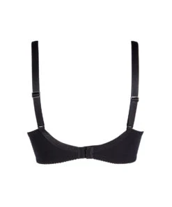 Soutien-gorge Grande Taille En Soie Collection Splendeur Soie De La Marque Lise Charmel Coloris Noir. -Sous Vêtement Soldes Magasin Soutien gorge grande taille en soie Lise Charmel Splendeur Soie noir ACC6180 SN 1002