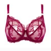 Soutien-gorge Corbeille Fitting Ligne Sublime En Dentelle De La Marque De Lingerie Française Lise Charmel, Coloris Fuchsia Sublime. 1 Soutien-gorge Corbeille Fitting Ligne Sublime En Dentelle De La Marque De Lingerie Française Lise Charmel, Coloris Fuchsia Sublime. -Sous Vêtement Soldes Magasin Soutien gorge grande taille fitting lise charmel Sublime en dentelle fuchsia ACH2813 packshot 1