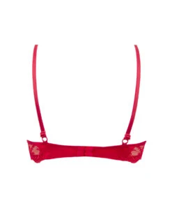 Soutien-gorge Sexy Triangle En Soie Collection Splendeur Soie, Coloris Rouge. 23 Soutien-gorge Sexy Triangle En Soie Collection Splendeur Soie, Coloris Rouge. -Sous Vêtement Soldes Magasin Soutien gorge triangle sexy en soie Lise Charmel Splendeur soie rouge rouge ACC7480 RS 1002