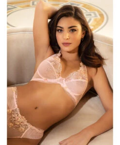 Tanga Sexy De La Nouvelle Ligne De Lingerie Sexy Rose De Venise Par Lise Charmel. -Sous Vêtement Soldes Magasin Tanga Lise Charmel Rose de Venise desir venise rose poudre ACH0021 DV fashion 5